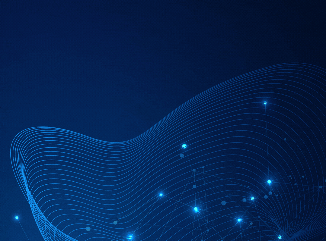 Vânia Cagnassi - CHIEF EXECUTIVE OFFICE