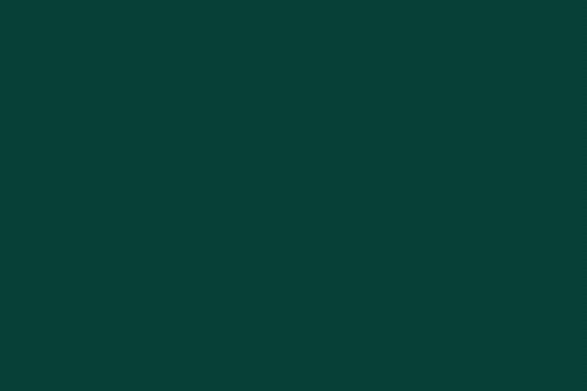 SUSIBELL VERA - FUNDADORA DA PC TRAVEL OPERADORA