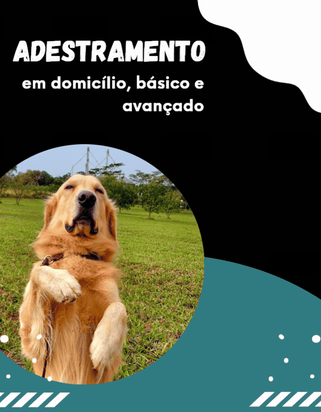 <br />C.T DO CÃO FUNCIONAL <br /> - ADESTRAMENTO & CURSOS