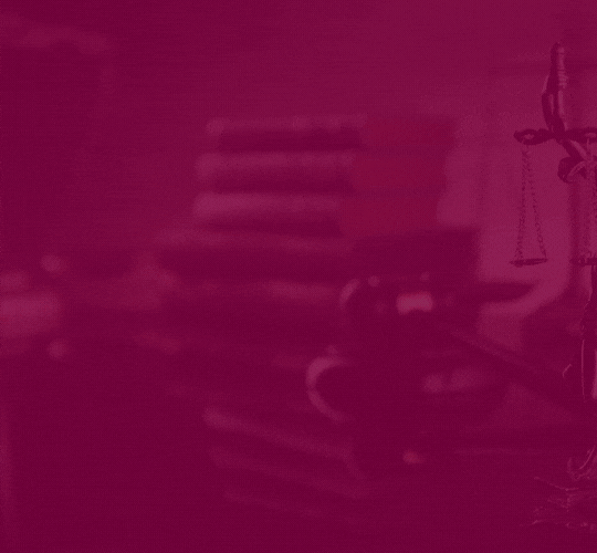Elioena Elias Silveira Freire - ADVOGADA | OAB-SC 49.276