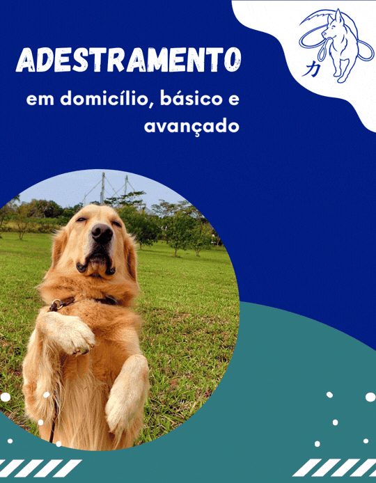 <br />C.T DO CÃO FUNCIONAL <br /> - ADESTRAMENTO & CURSOS